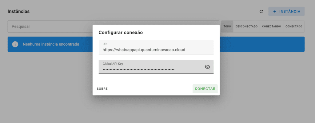 Inserindo sua Global API Key para acessar sua API de Whatsapp Web